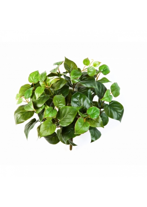 Philo Bush x 9 35-45 cm