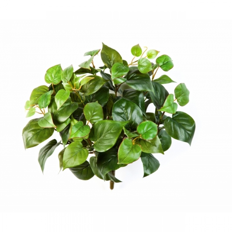 Philo Bush x 9 35-45 cm