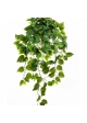 Philo Hanging Bush x 232 85 cm