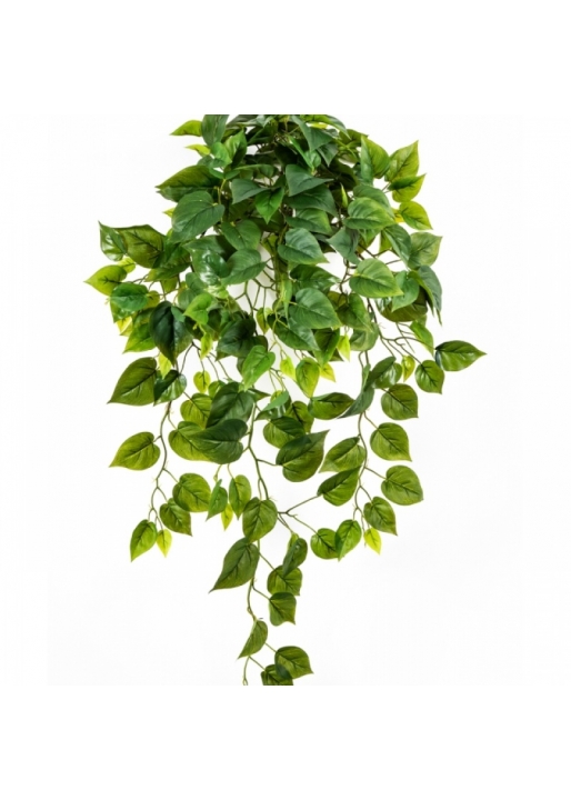 Philo Hanging Bush x 232 85 cm