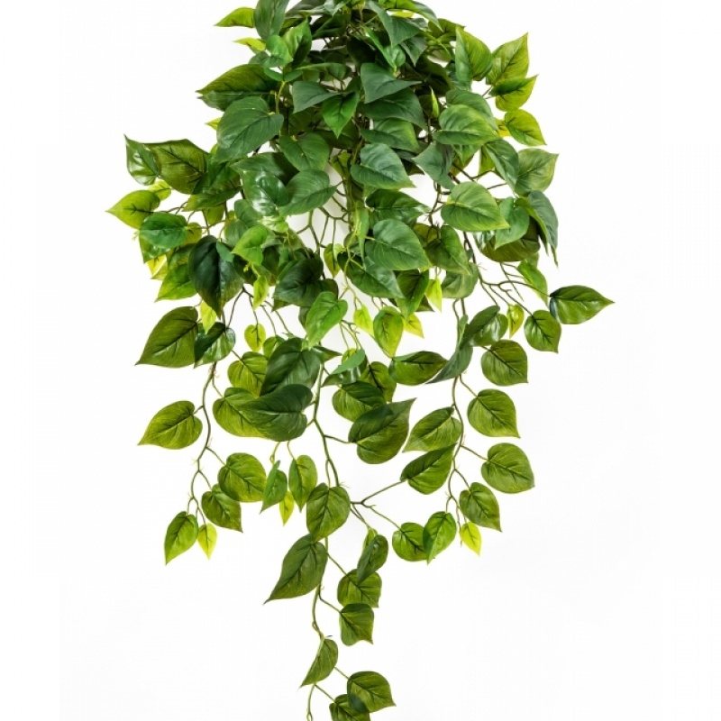 Philo Hanging Bush x 232 85 cm