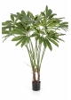 Philodendron Goeldii with Pot 110 cm