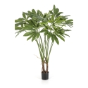 Philodendron Goeldii with Pot 110 cm
