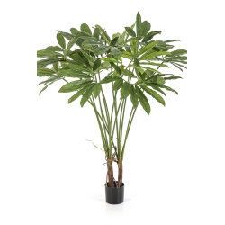 Philodendron Goeldii with Pot 110 cm