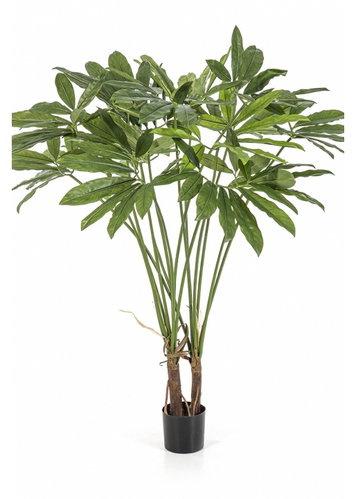 Philodendron Goeldii with Pot 110 cm