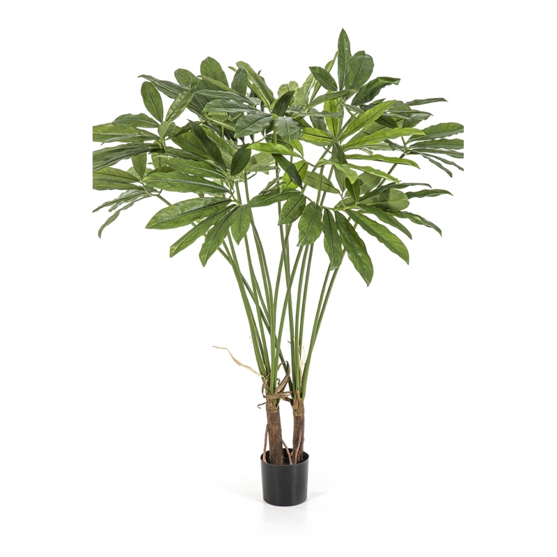Philodendron Goeldii with Pot 110 cm
