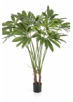 Philodendron Goeldii with Pot 110 cm