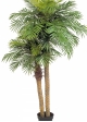 Phoenix palm double w/pot 195 cm