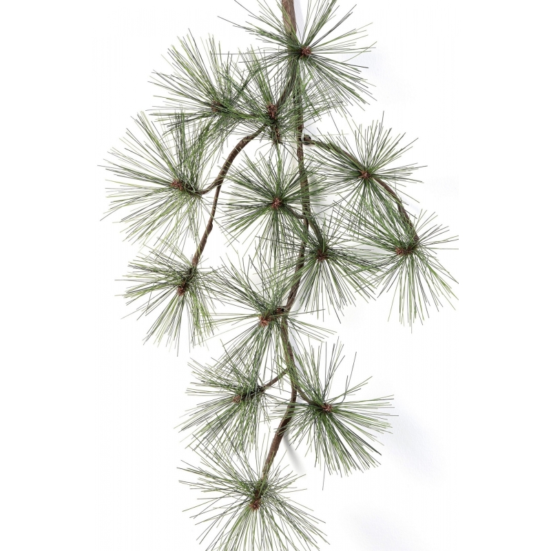 Pine Spray x 13 67 cm