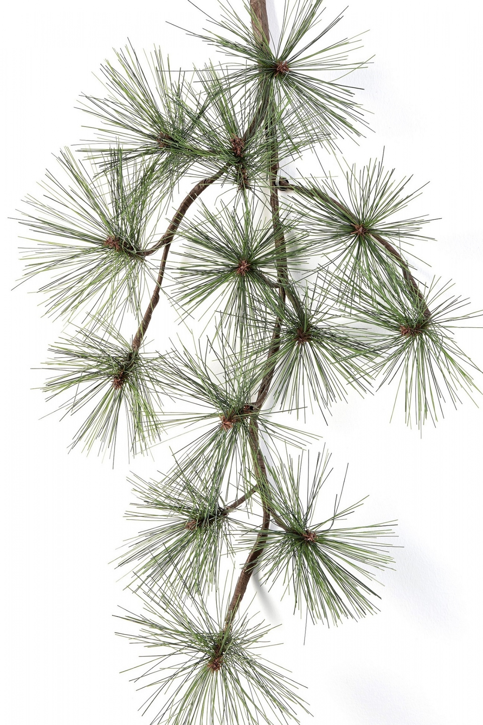 Pine Spray x 13 67 cm