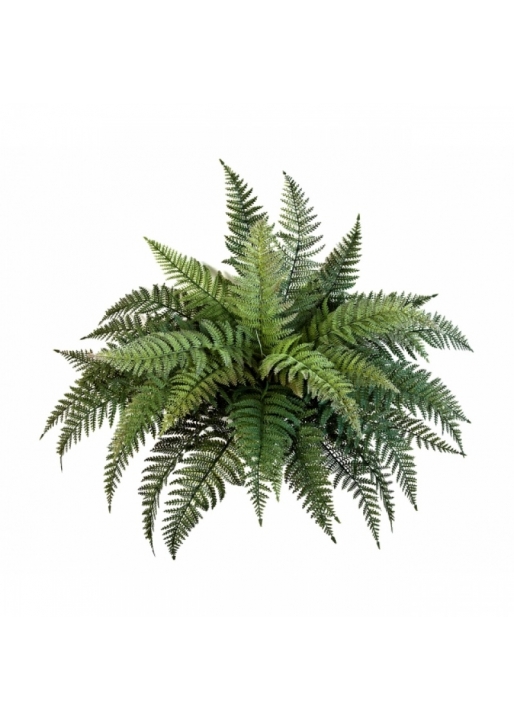 Plastic Fern bush x 35 70 cm
