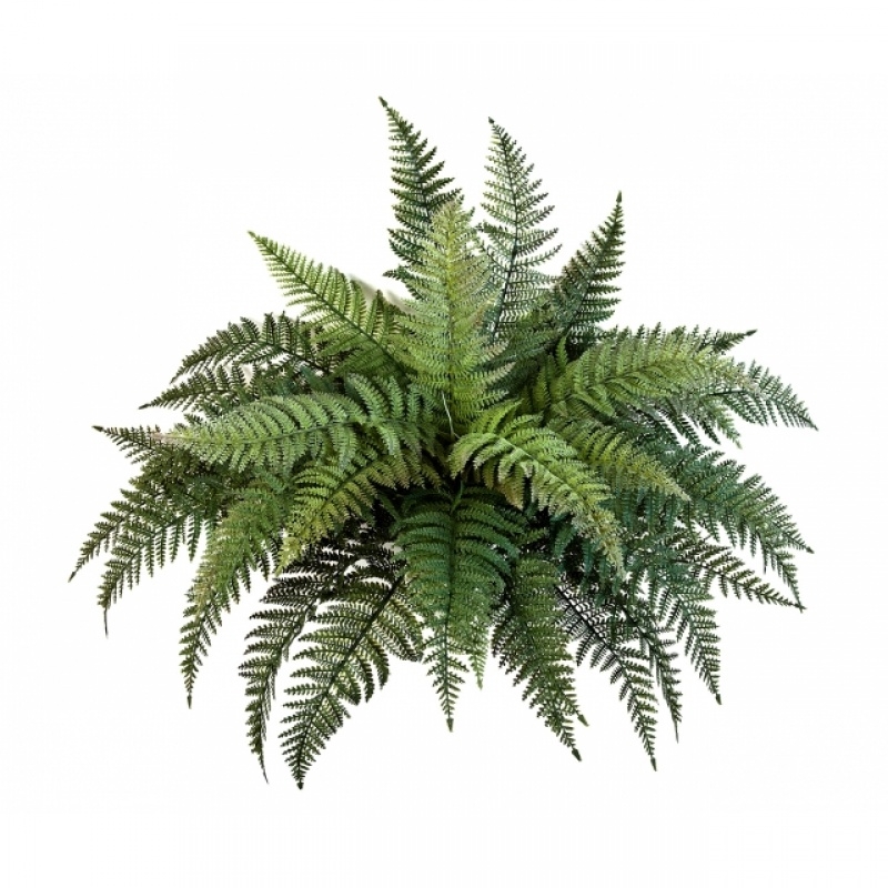 Plastic Fern bush x 35 70 cm