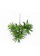 Podocarpus spray 35 cm