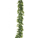 Pothos Garland 180 cm