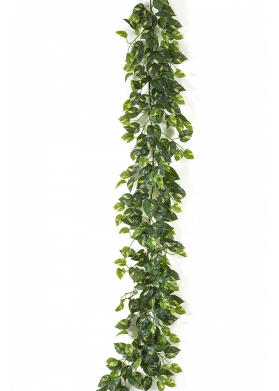 Pothos Garland 180 cm