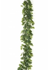 Pothos Garland 180 cm