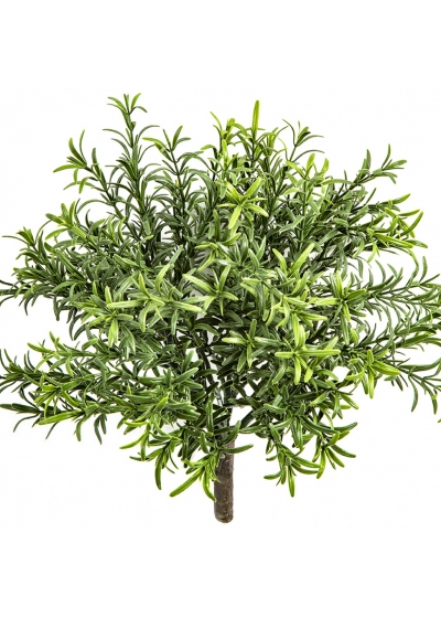 Rosemary Bush - UV 32 cm