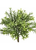 Rosemary Bush - UV 32 cm