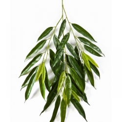 Royal longifolia spray 83 cm