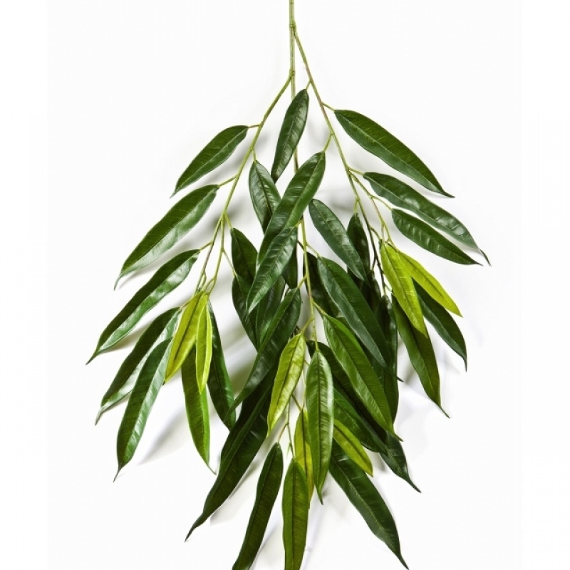 Royal longifolia spray 83 cm