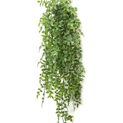 Ruscus Hanging Bush x 8 -UV 70-95 cm