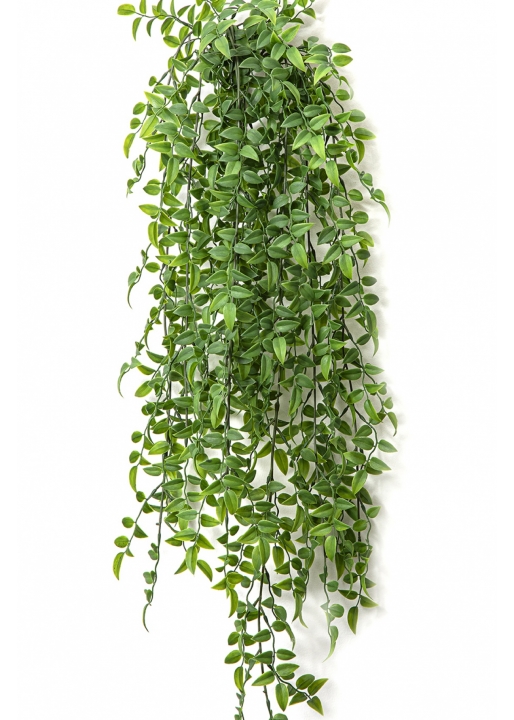 Ruscus Hanging Bush x 8 -UV 70-95 cm