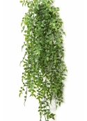 Ruscus Hanging Bush x 8 -UV 70-95 cm