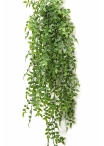 Ruscus Hanging Bush x 8 -UV 70-95 cm