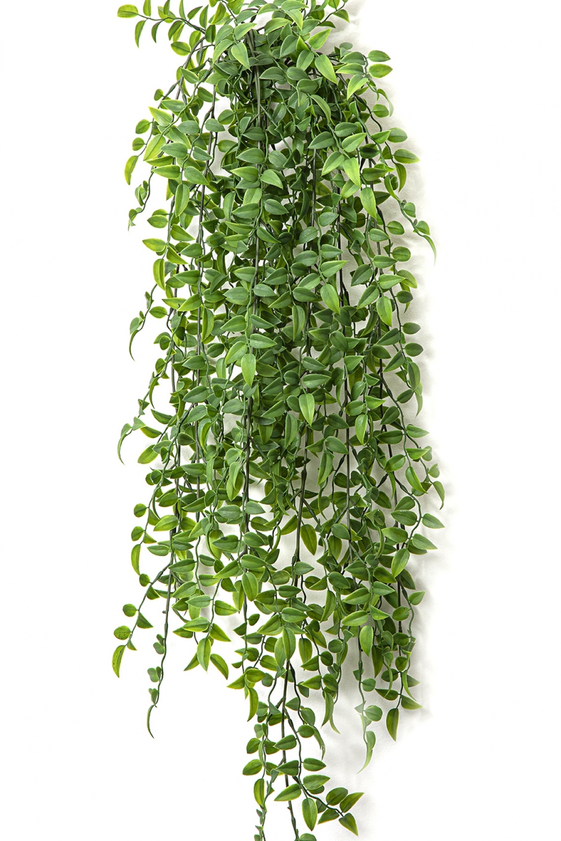 Ruscus Hanging Bush x 8 -UV 70-95 cm