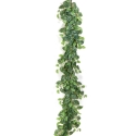 Scindapsus Garland 180 cm