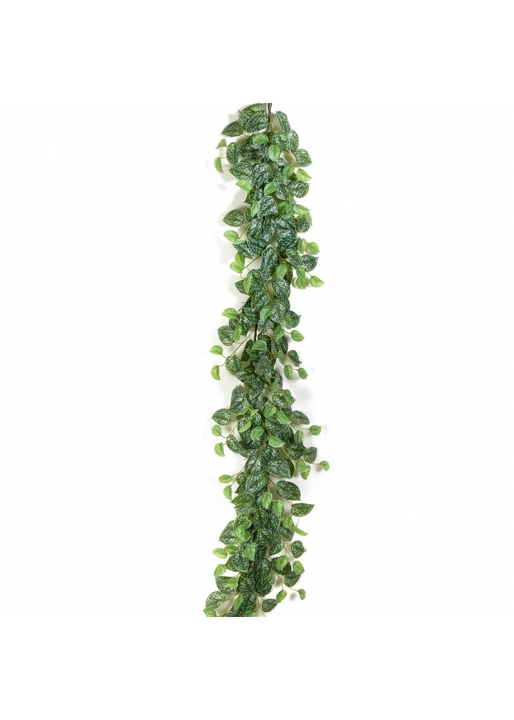 Scindapsus Garland 180 cm