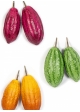 Set of 12 pieces Cacaofruit 12 cm