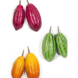 Set of 12 pieces Cacaofruit 12 cm