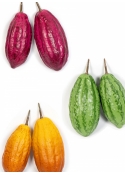 Set of 12 pieces Cacaofruit 12 cm