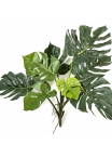 Split Philo Bush 75 cm