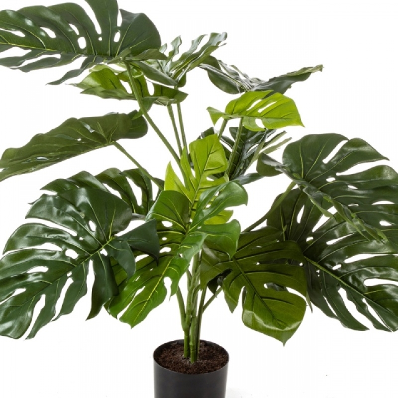 Split Philo w/p 85 cm