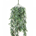 Staghorn Hanging Vine Bush 80 cm