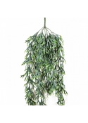 Staghorn Hanging Vine Bush 80 cm