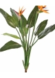 Strelitzia bush x 11 100 cm