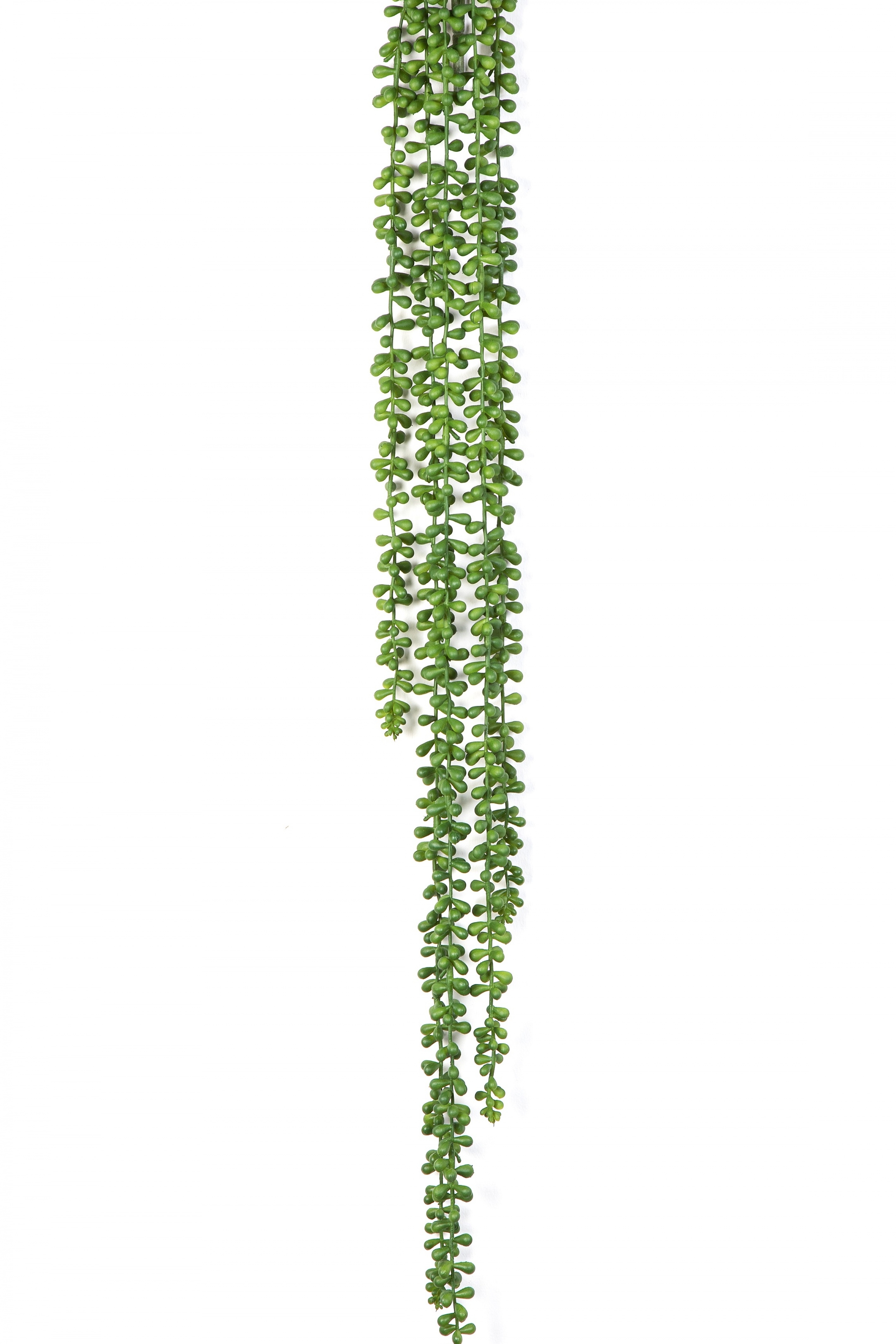 String Of Pearls Hanging Bush 90 cm