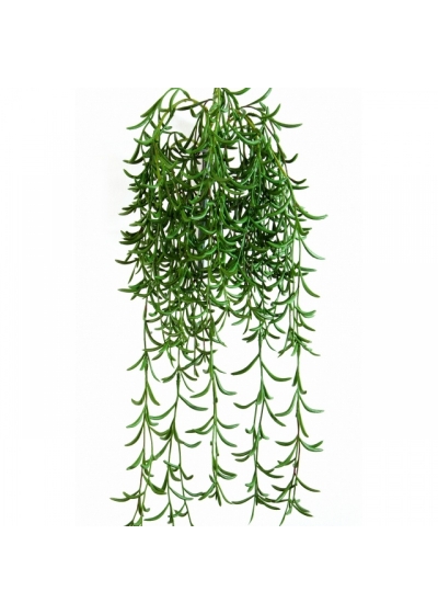 Succulent Hanging Bush 45 cm