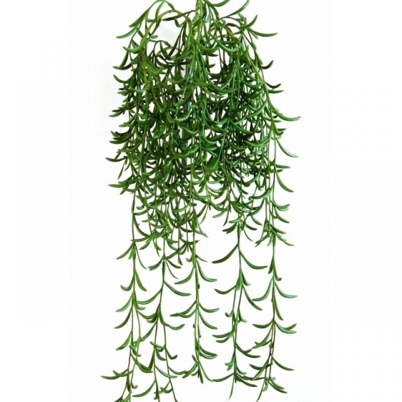 Succulent Hanging Bush 45 cm