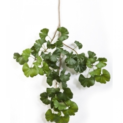 Sweet gingko spray x 52 60 cm