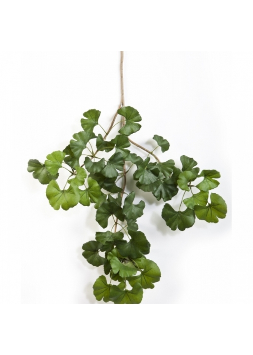 Sweet gingko spray x 52 60 cm