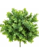 Tea Leaf Bush UV 38 cm