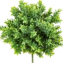 Tea Leaf Bush UV 38 cm