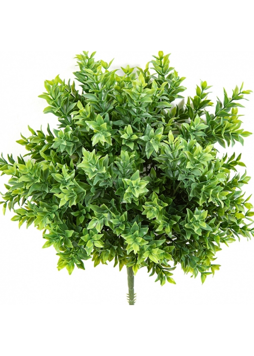 Tea Leaf Bush UV 38 cm