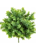Tea Leaf Bush UV 38 cm