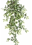 Tradescantia Hanging Bush x 15 105-125 cm