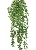 Tradescantia hanging bush 85 cm